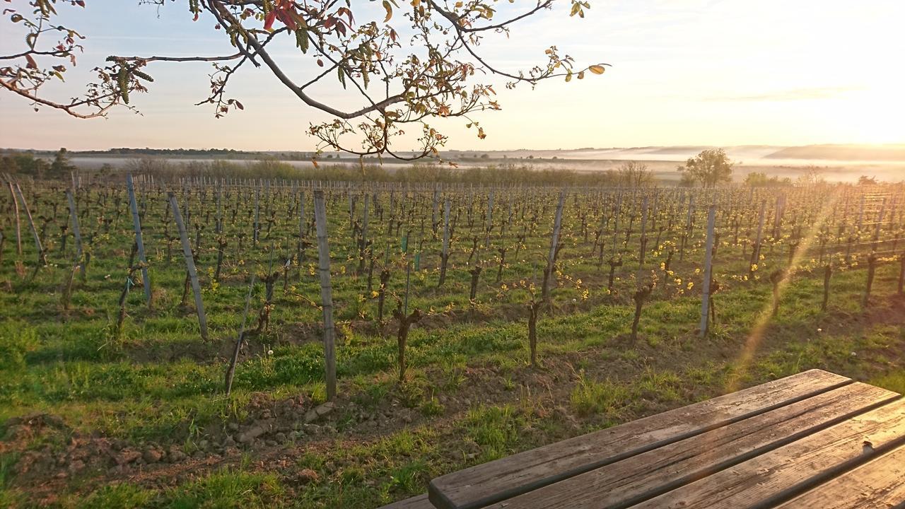 Hotel Weingut Familie Bauer à Grossriedenthal Extérieur photo